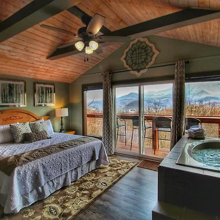 Paradise Vista, Amazing Mtn Views, Hot Tub, 1089 Free Tickets Each Paid Day, Dollywood And More